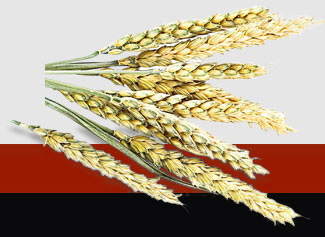 beat·365(中国)唯一官方网站