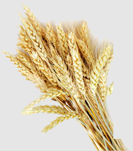 beat·365(中国)唯一官方网站