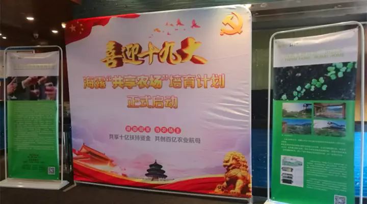 beat·365(中国)唯一官方网站