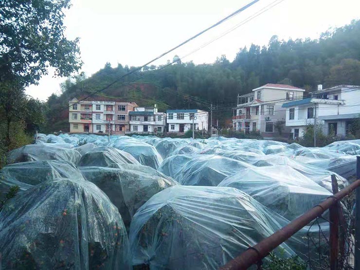 beat·365(中国)唯一官方网站