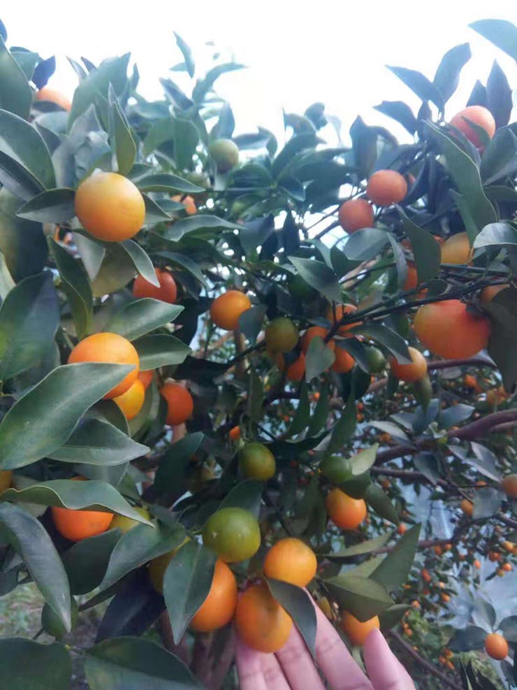 beat·365(中国)唯一官方网站