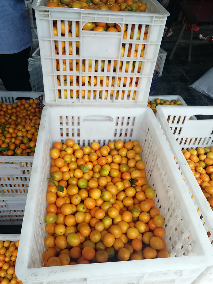 beat·365(中国)唯一官方网站