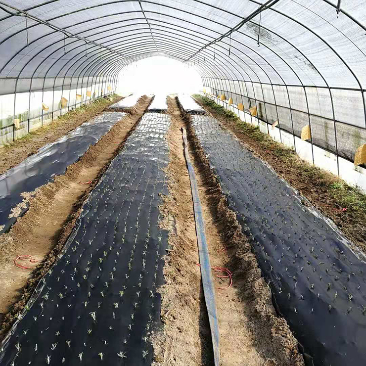 beat·365(中国)唯一官方网站