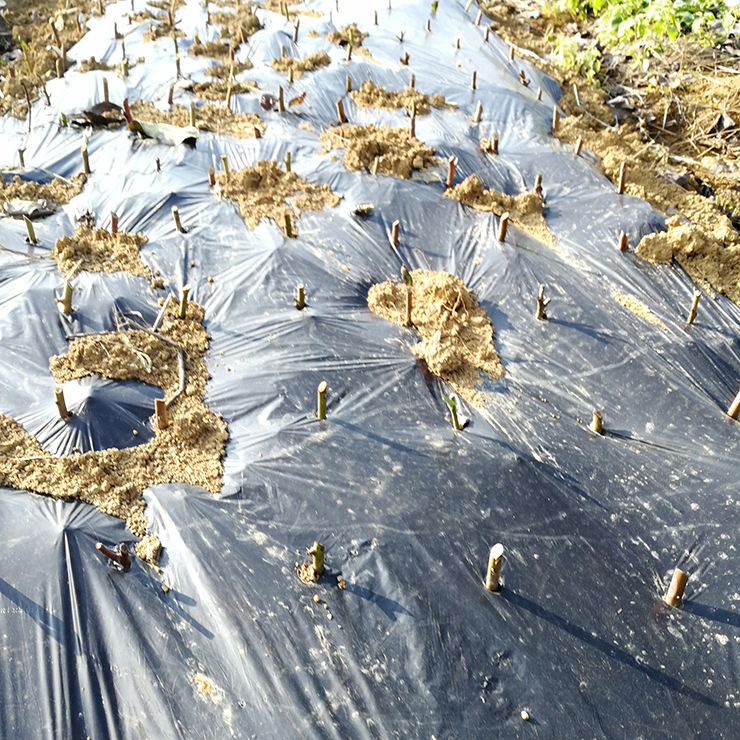 beat·365(中国)唯一官方网站