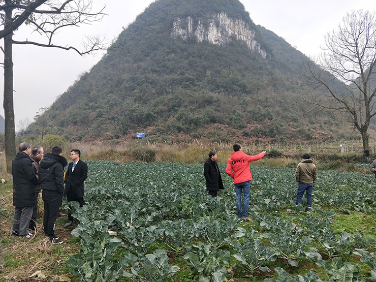 beat·365(中国)唯一官方网站