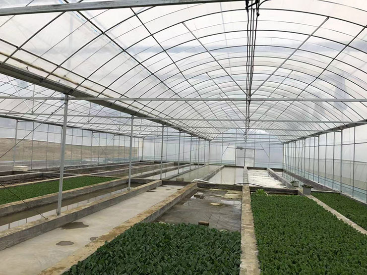 beat·365(中国)唯一官方网站