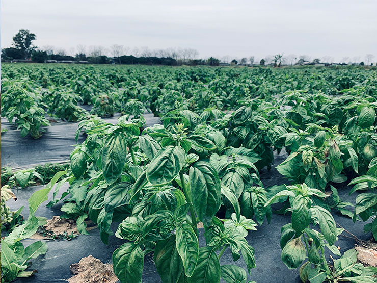 beat·365(中国)唯一官方网站