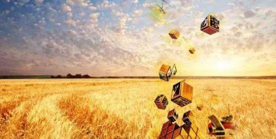 beat·365(中国)唯一官方网站