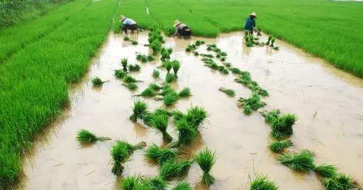 beat·365(中国)唯一官方网站