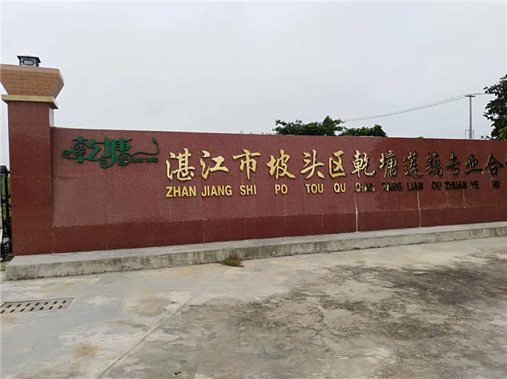 beat·365(中国)唯一官方网站