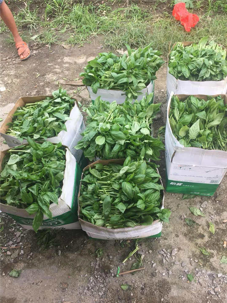 beat·365(中国)唯一官方网站