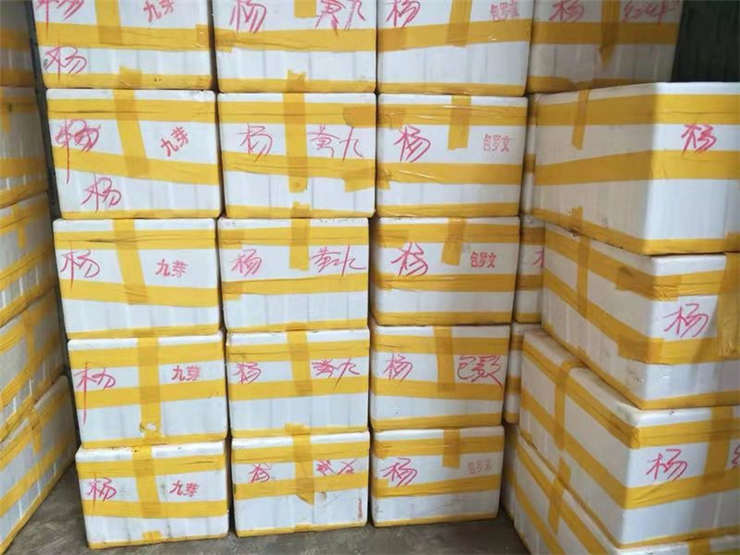 beat·365(中国)唯一官方网站