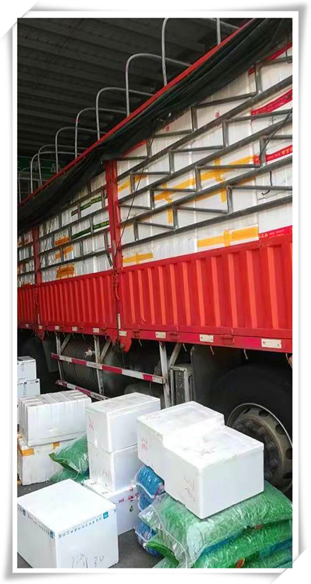 beat·365(中国)唯一官方网站