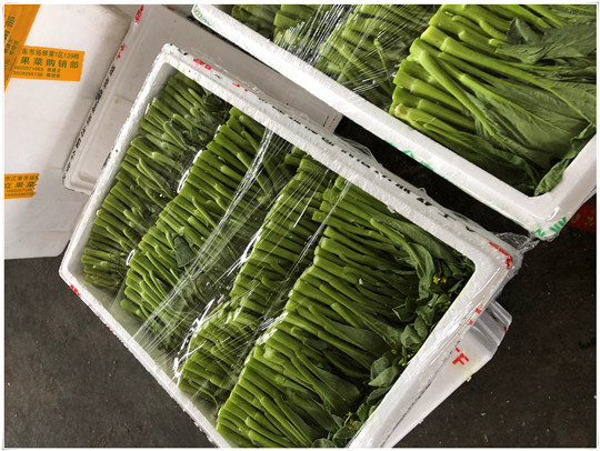 beat·365(中国)唯一官方网站