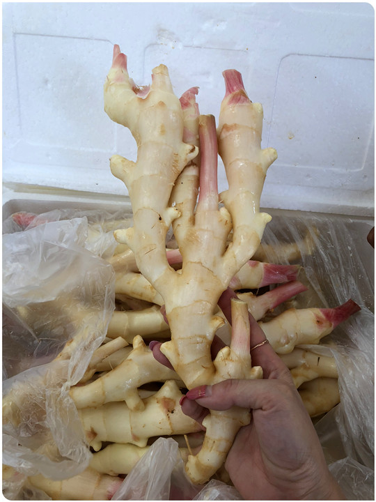 beat·365(中国)唯一官方网站