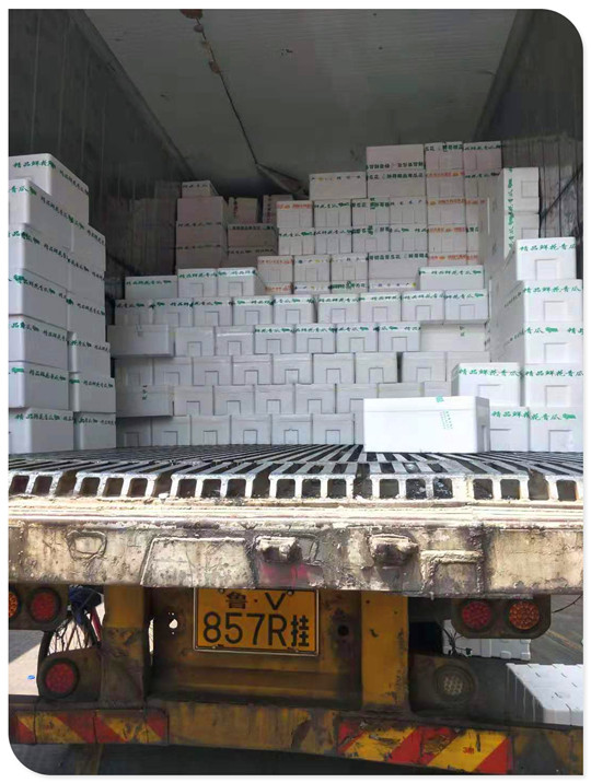 beat·365(中国)唯一官方网站