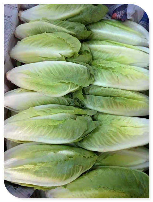 beat·365(中国)唯一官方网站