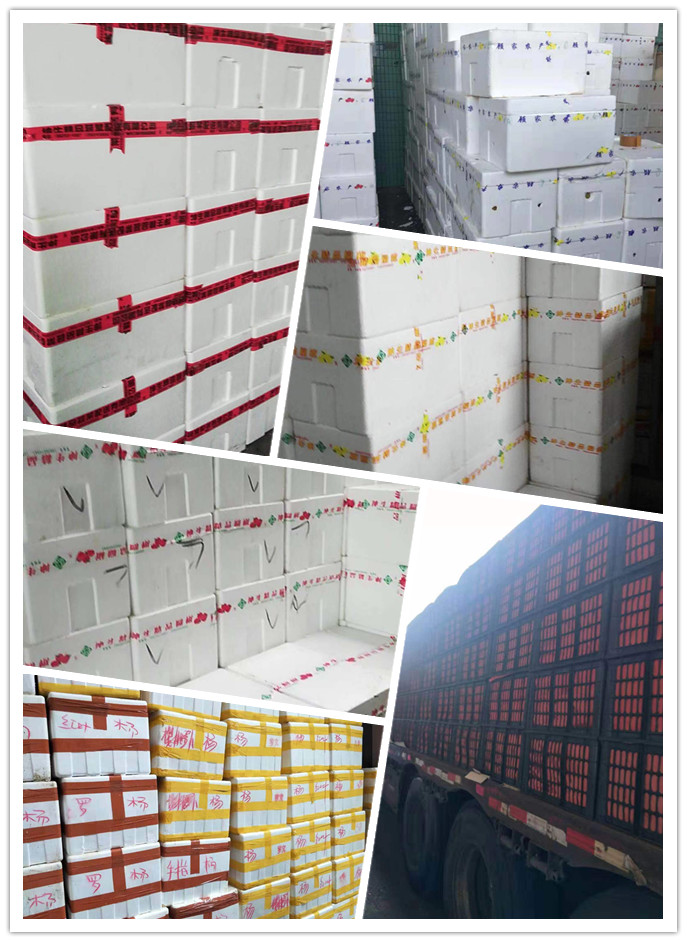 beat·365(中国)唯一官方网站