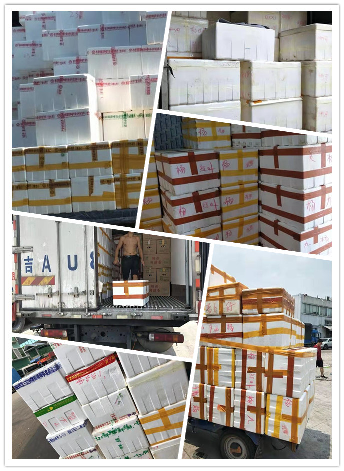 beat·365(中国)唯一官方网站