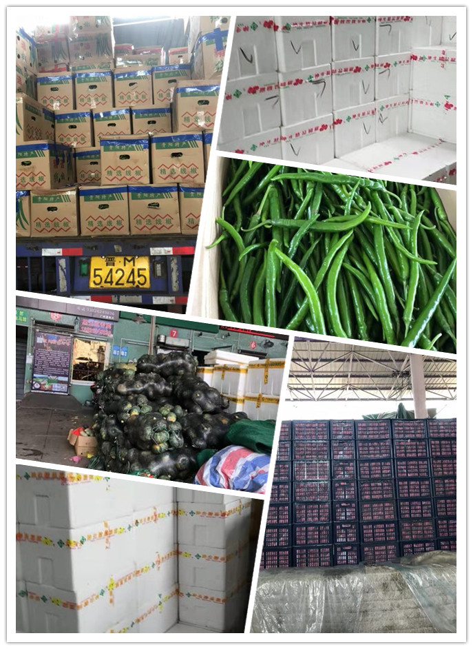 beat·365(中国)唯一官方网站