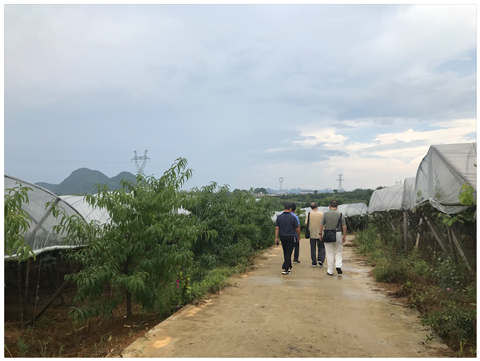 beat·365(中国)唯一官方网站