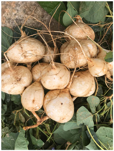 beat·365(中国)唯一官方网站