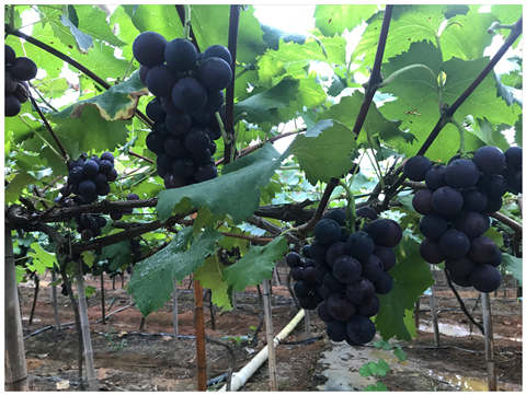 beat·365(中国)唯一官方网站