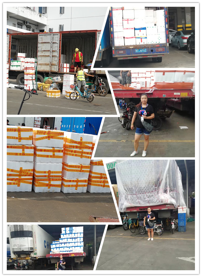 beat·365(中国)唯一官方网站