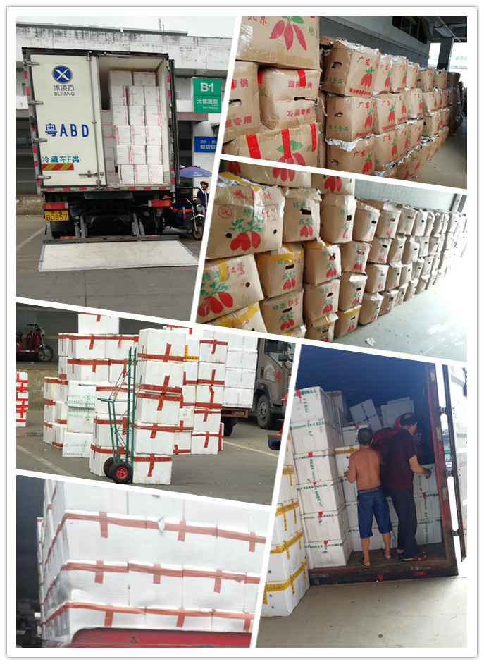 beat·365(中国)唯一官方网站