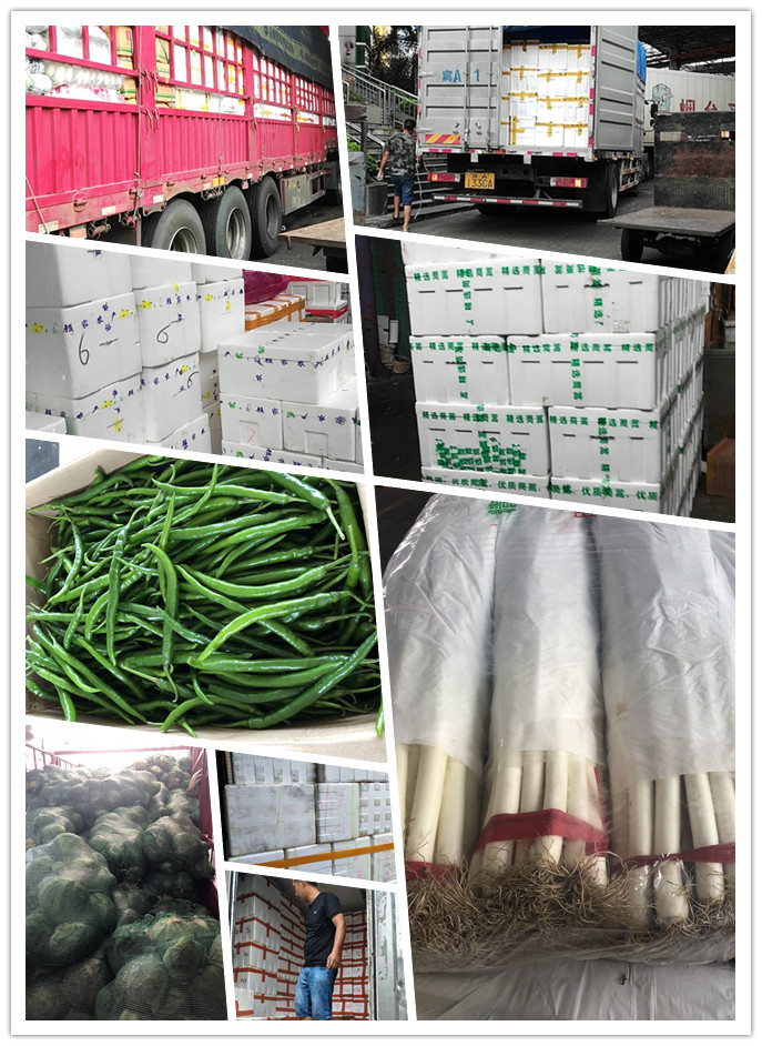 beat·365(中国)唯一官方网站