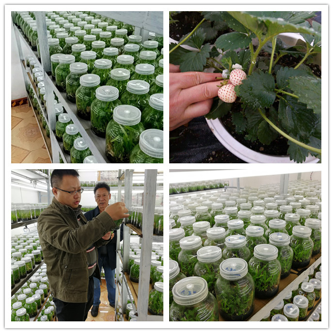 beat·365(中国)唯一官方网站