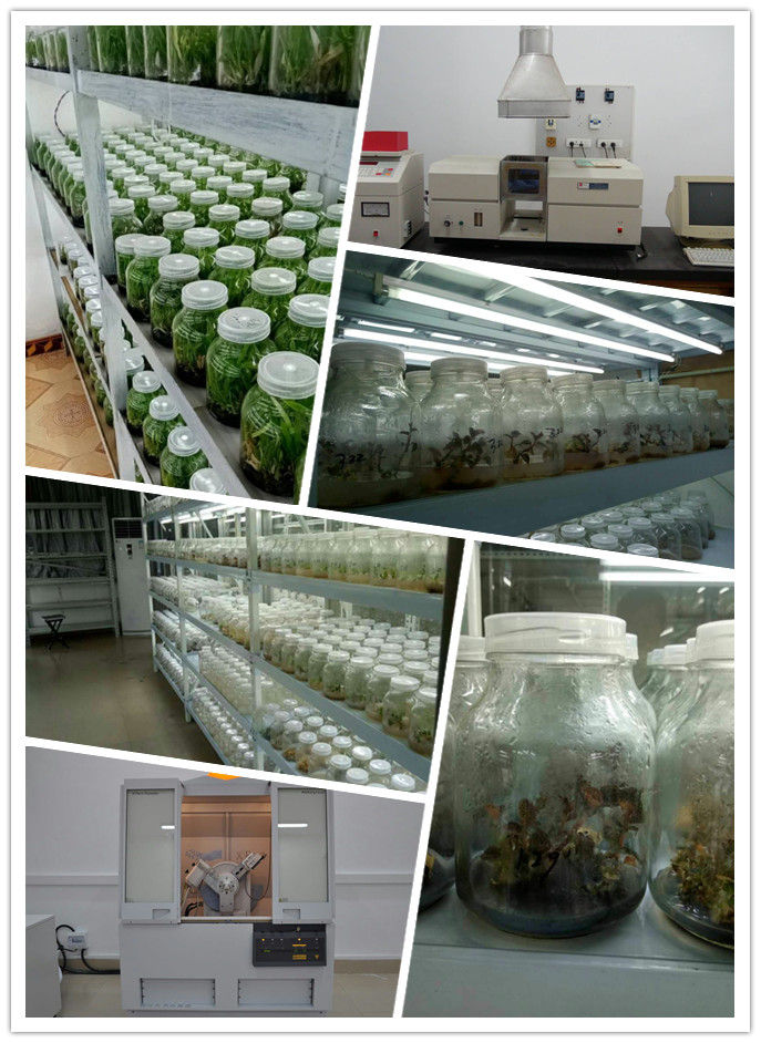 beat·365(中国)唯一官方网站