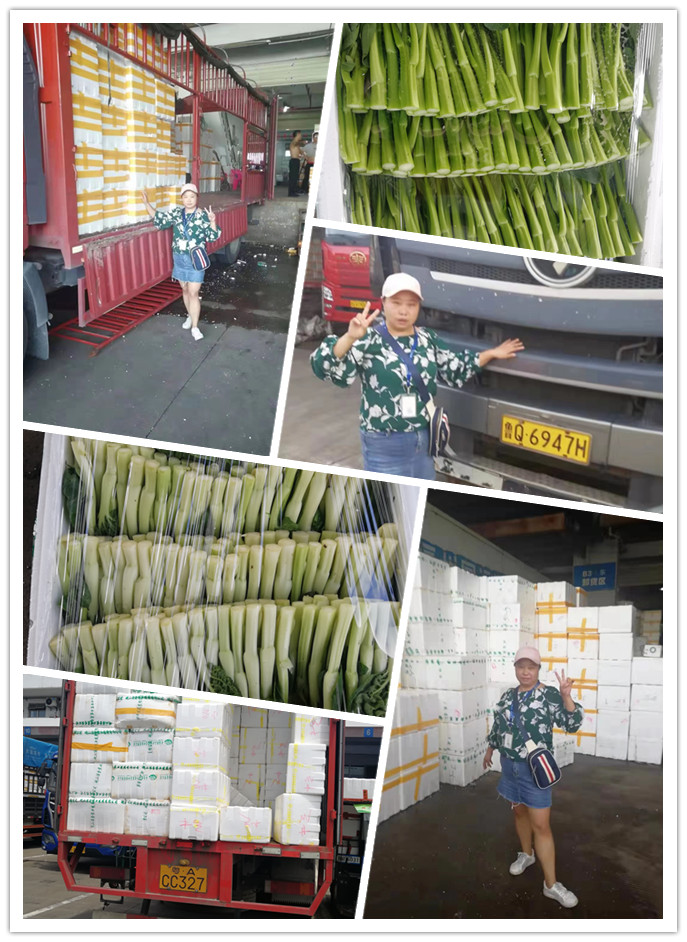 beat·365(中国)唯一官方网站