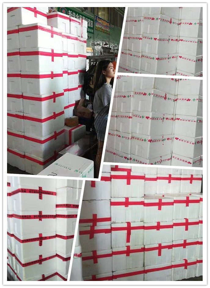 beat·365(中国)唯一官方网站