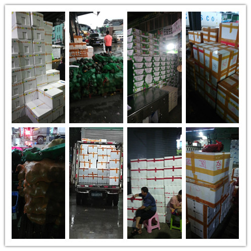 beat·365(中国)唯一官方网站