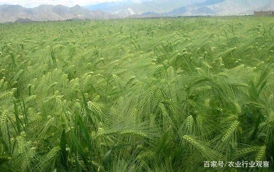 beat·365(中国)唯一官方网站