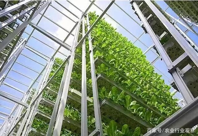 beat·365(中国)唯一官方网站