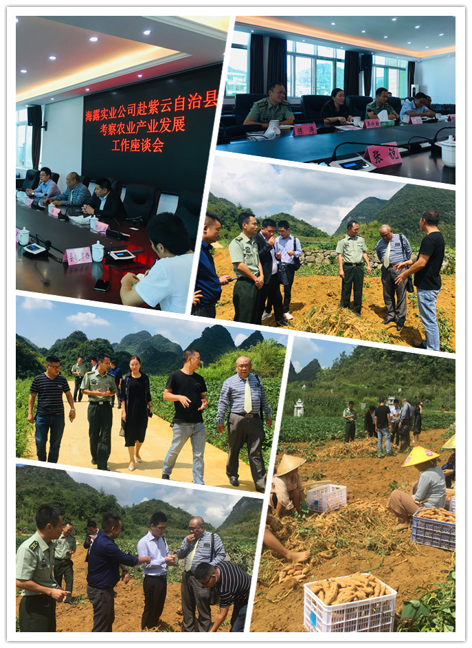 beat·365(中国)唯一官方网站