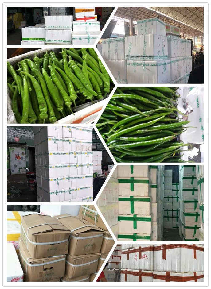 beat·365(中国)唯一官方网站