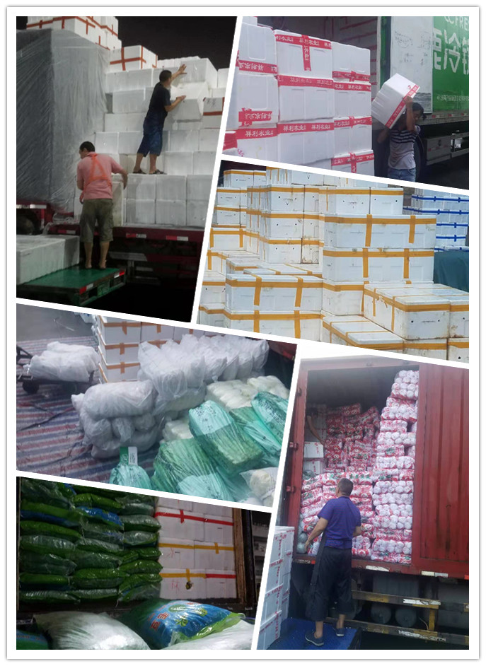 beat·365(中国)唯一官方网站