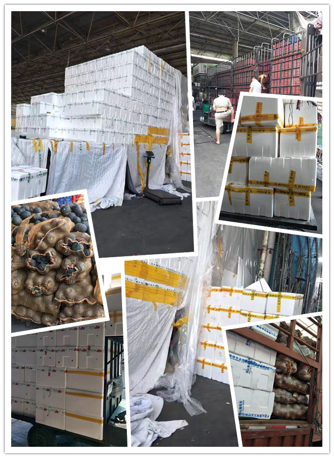 beat·365(中国)唯一官方网站