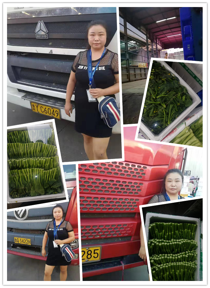 beat·365(中国)唯一官方网站