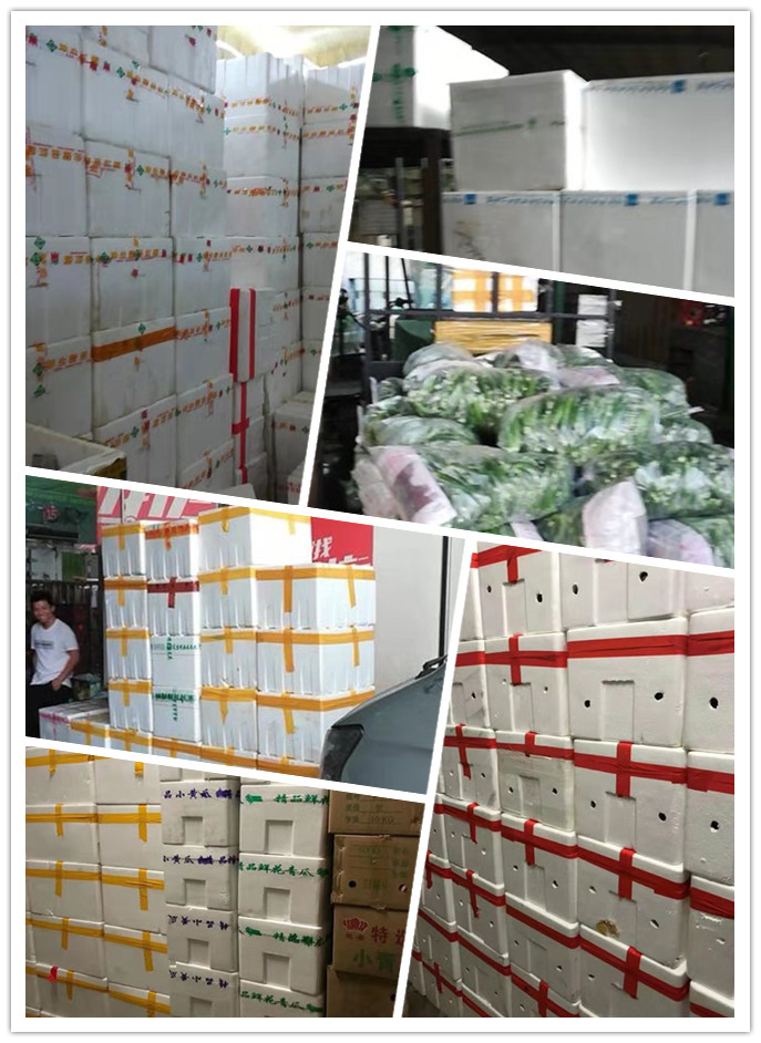 beat·365(中国)唯一官方网站