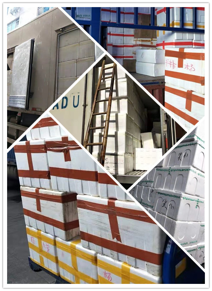 beat·365(中国)唯一官方网站