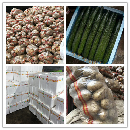 beat·365(中国)唯一官方网站