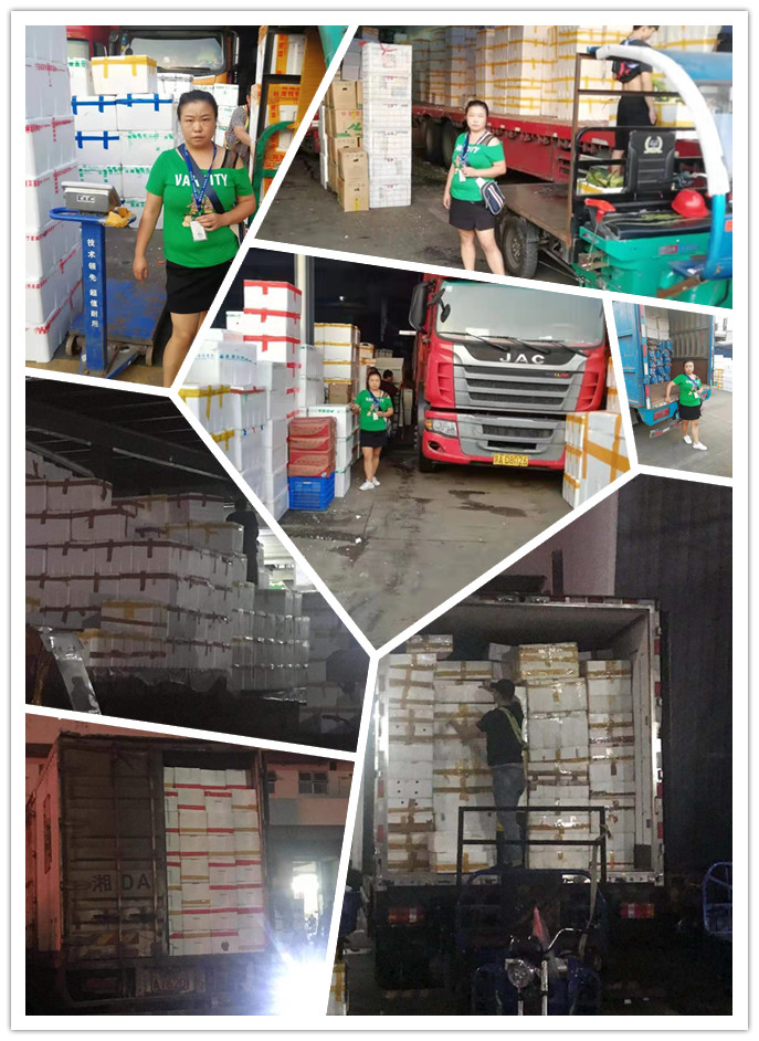 beat·365(中国)唯一官方网站