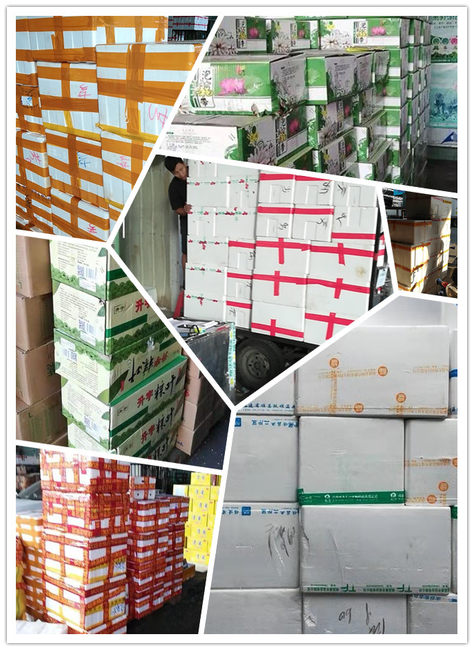 beat·365(中国)唯一官方网站