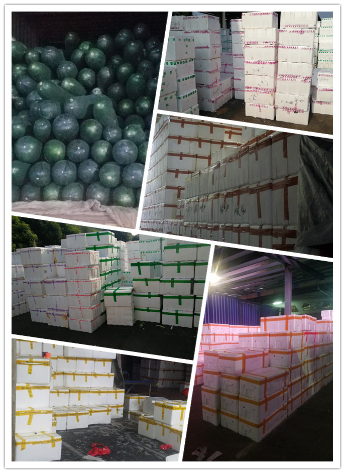 beat·365(中国)唯一官方网站