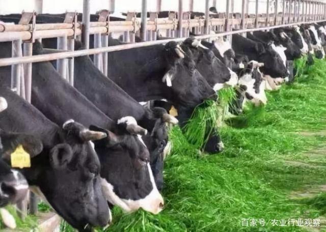 beat·365(中国)唯一官方网站