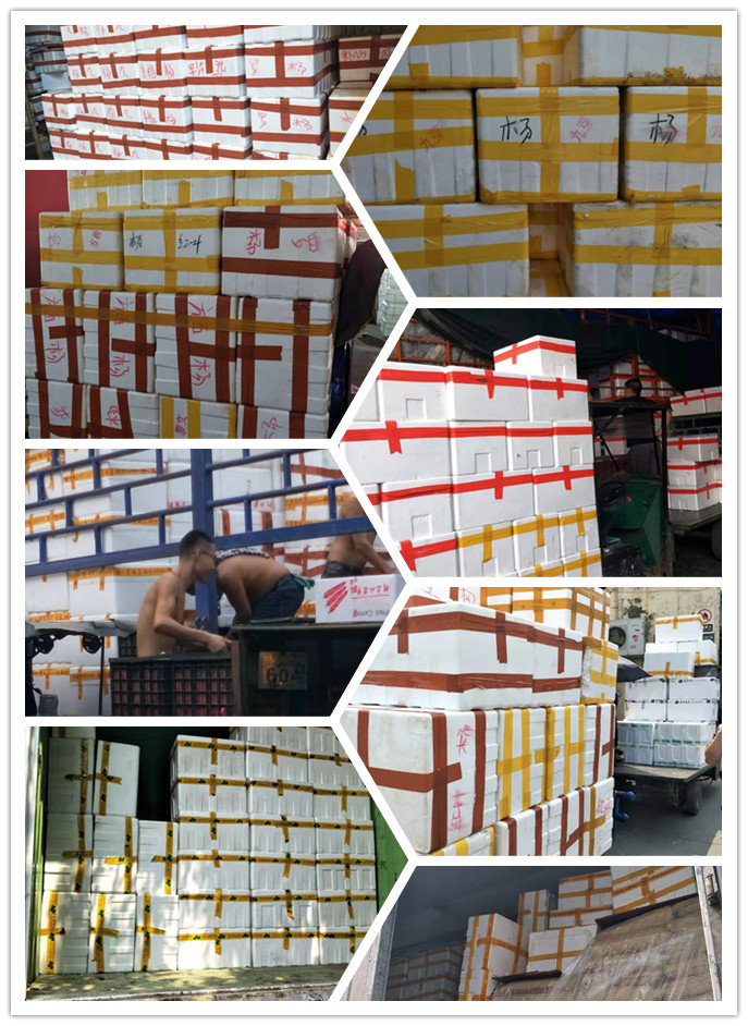 beat·365(中国)唯一官方网站